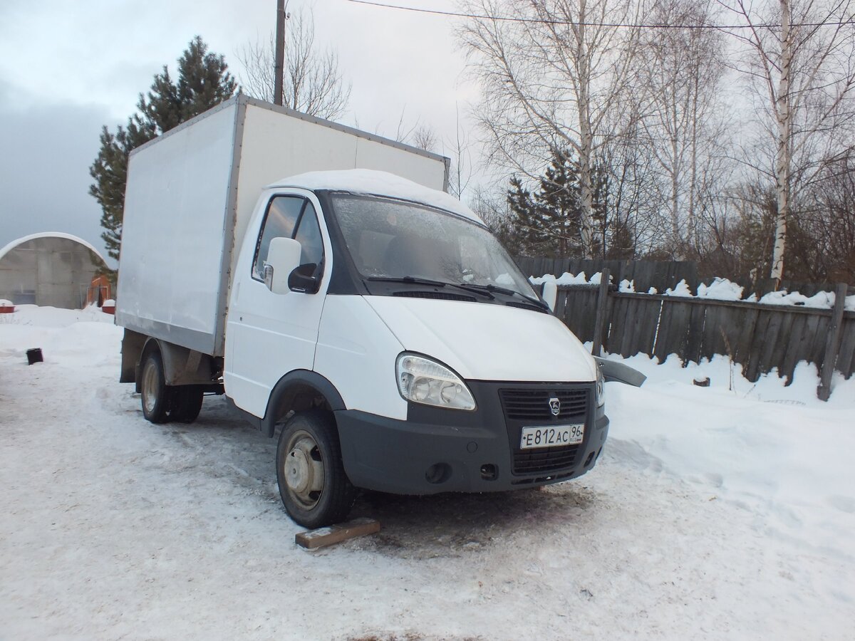 наша газель