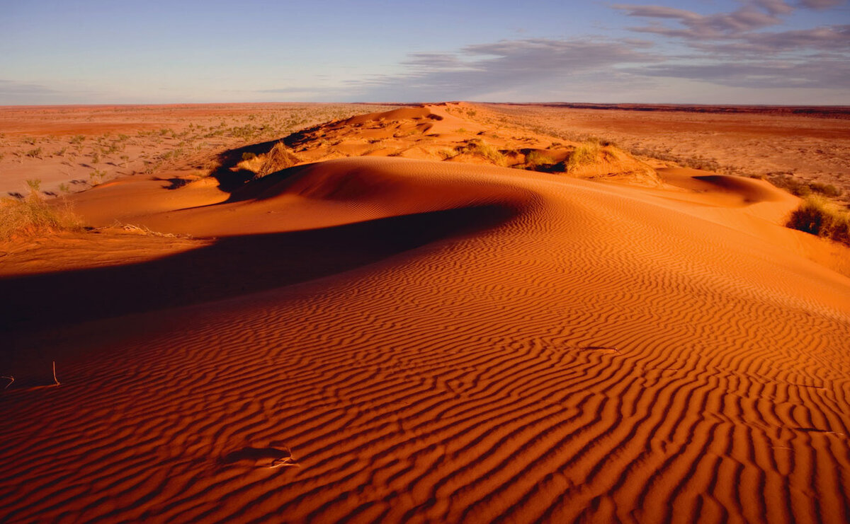 Victoria desert. Симпсон Дезерт национальный парк Австралии. Большая пустыня Виктория в Австралии. Эль-Азизия Ливия. Great Victoria Desert Австралия.