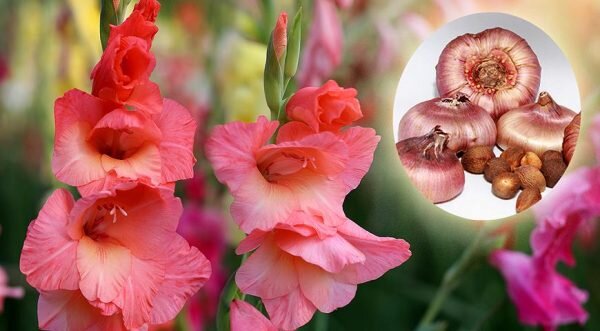 источник - hot-info.ru