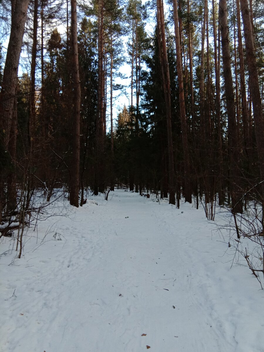 Каждый день по любимой тропе