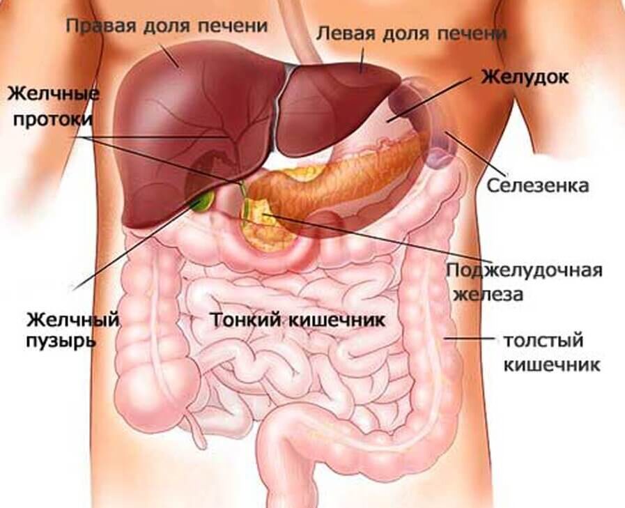 Яндекс Картинки