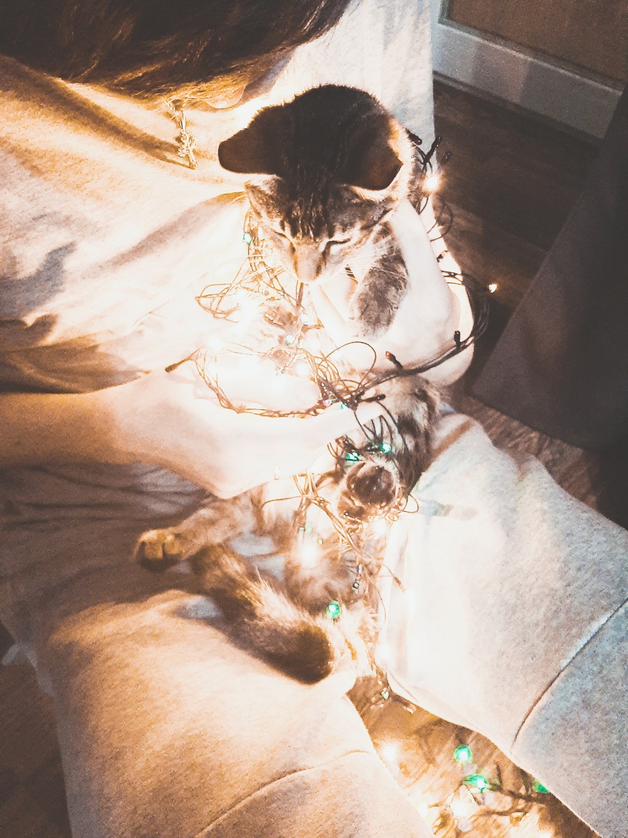 В ожидании праздника