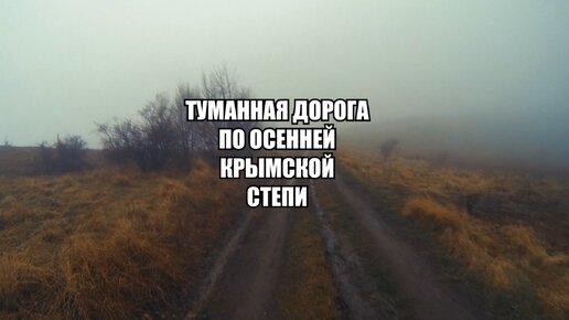 Иду по туманной осенней крымской дороге