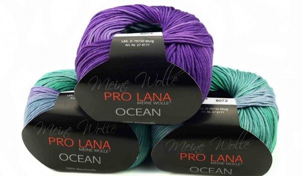 Моточки Pro Lana Ocean в магазине