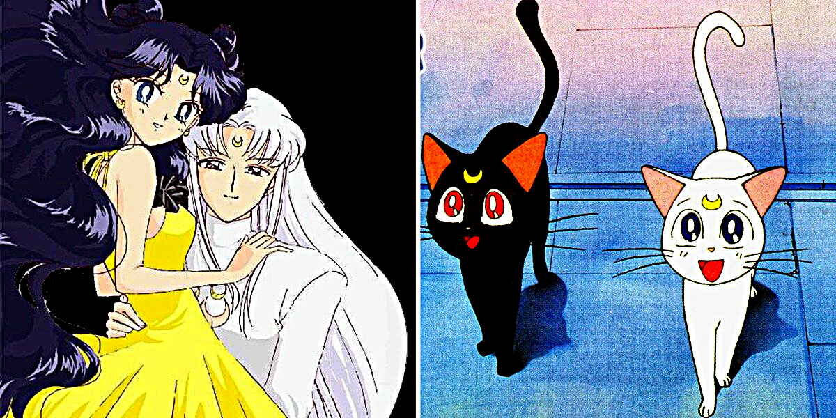 Луна и Артемис родились людьми, а кошками стали уже позже. Фото с  Twitter 