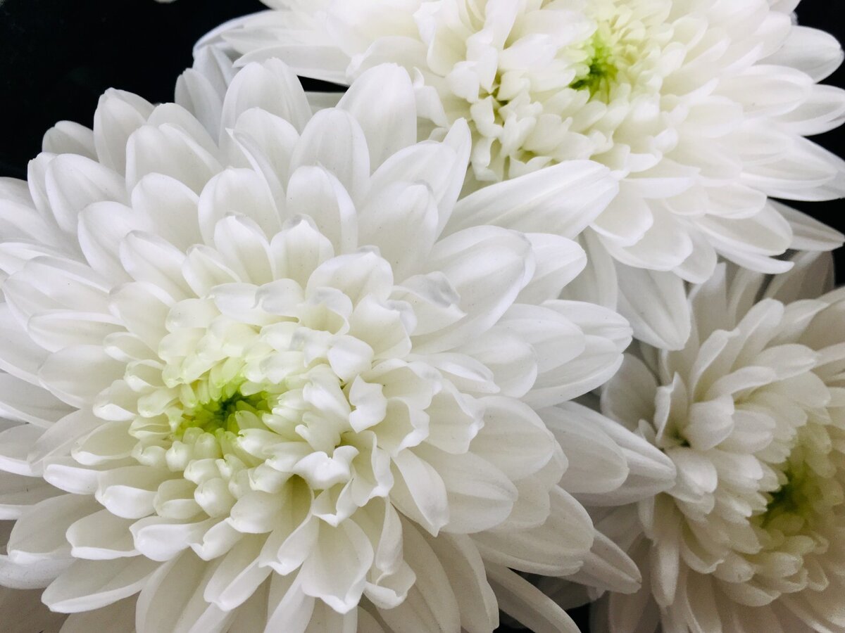 Фото из Интернета