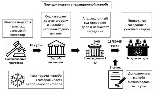 Апелляционное определение кас пример Порядок подачи апелляционной жалобы Все об уголовных делах Дзен