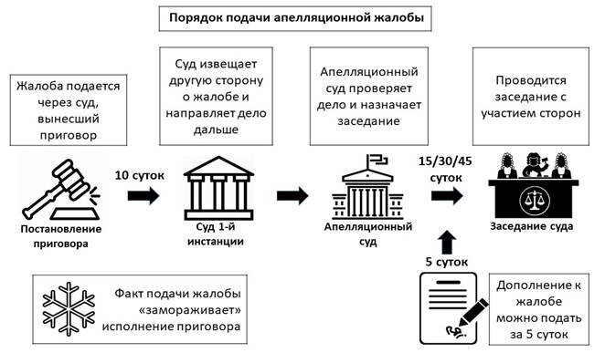 Схема апелляции на приговор по уголовному делу