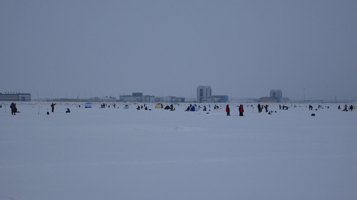 Все ждут корюшку