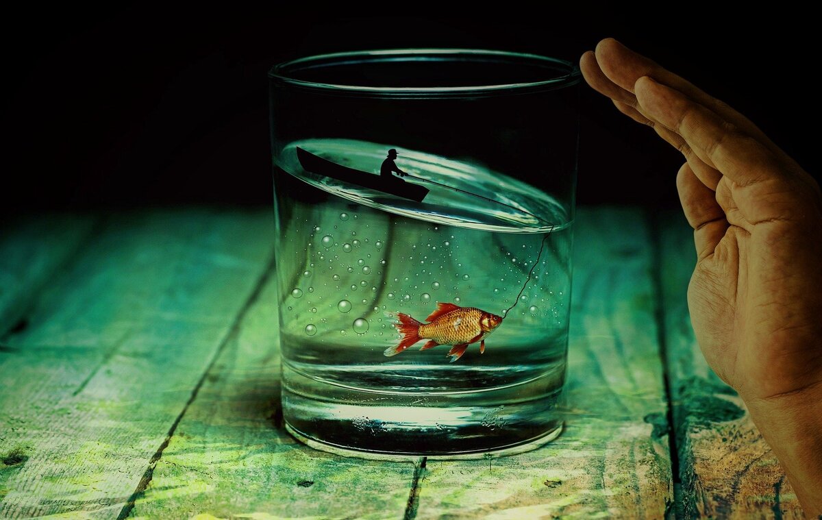                                                     Источник: pixabay.com