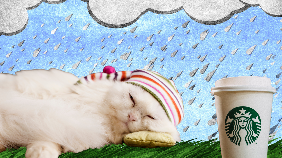 Коллаж автора 