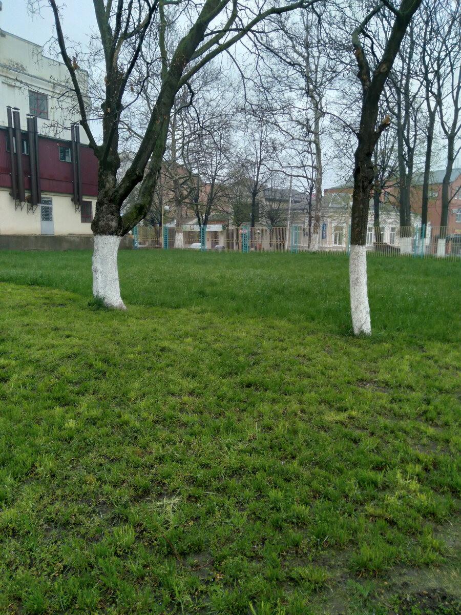 -2-3