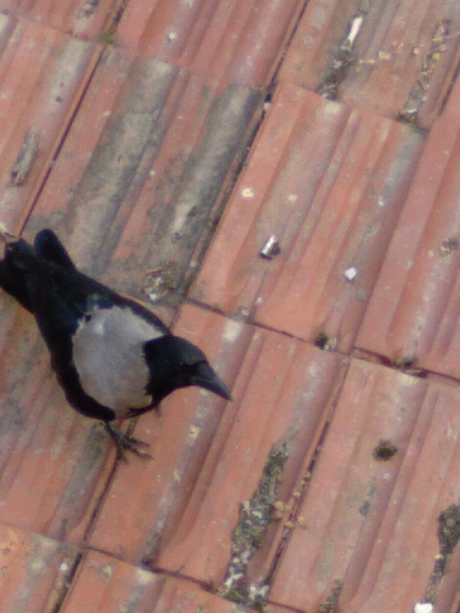 Личное фото