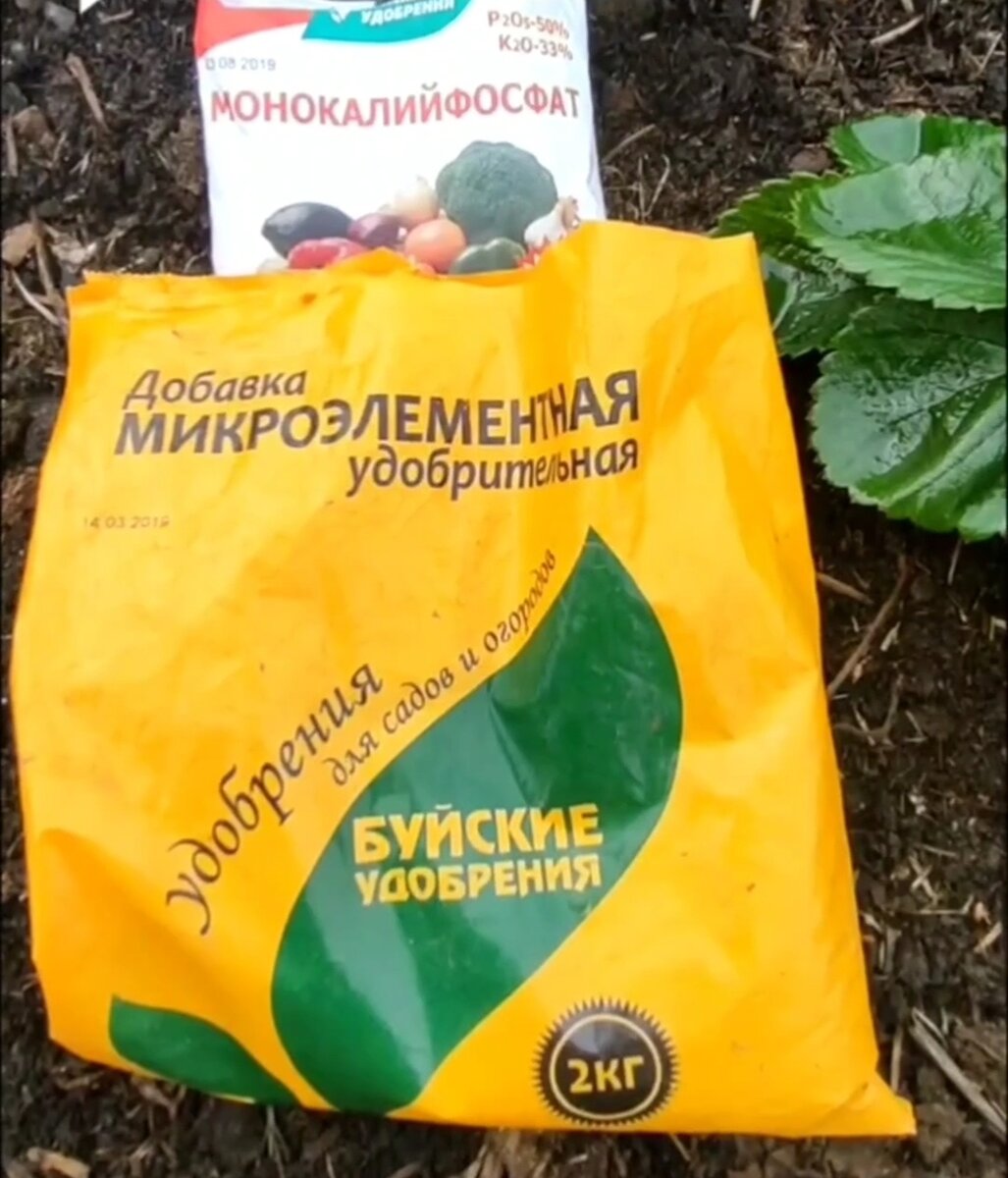 Удобрения которые я использую