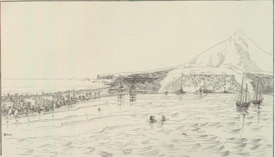 Мореплаватели вышли на охоту за ластоногими