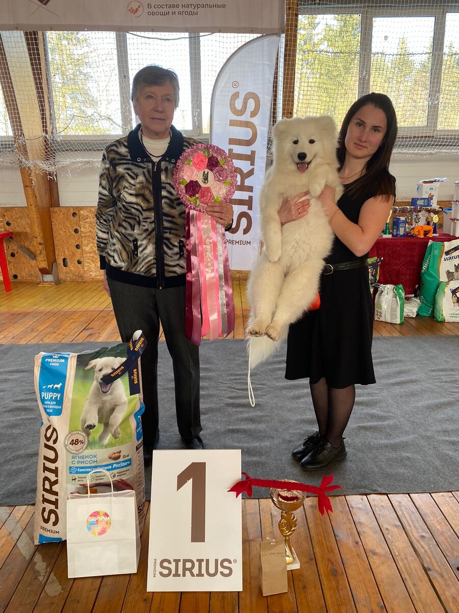 Чипа. 1 место среди малышей. Dog friendly Завидово. Самоед