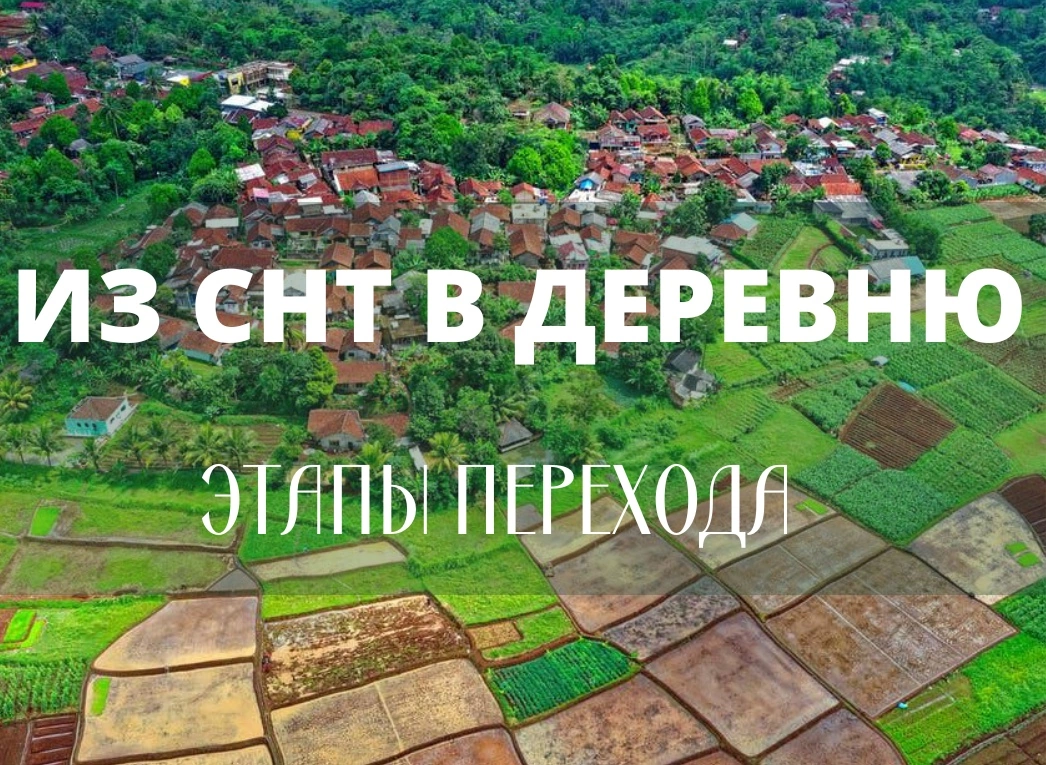 Услуги бухгалтера СНТ