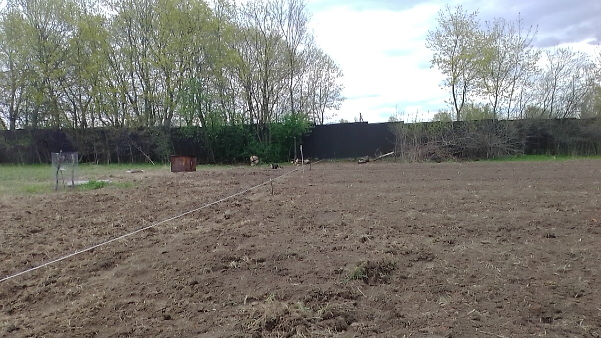 До белой высокой палки новый забор поставили