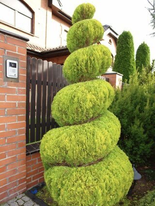 Источник: https://www.ogrodowisko.pl/watek/1223-ogrod-maly-ale-pojemny?page=21