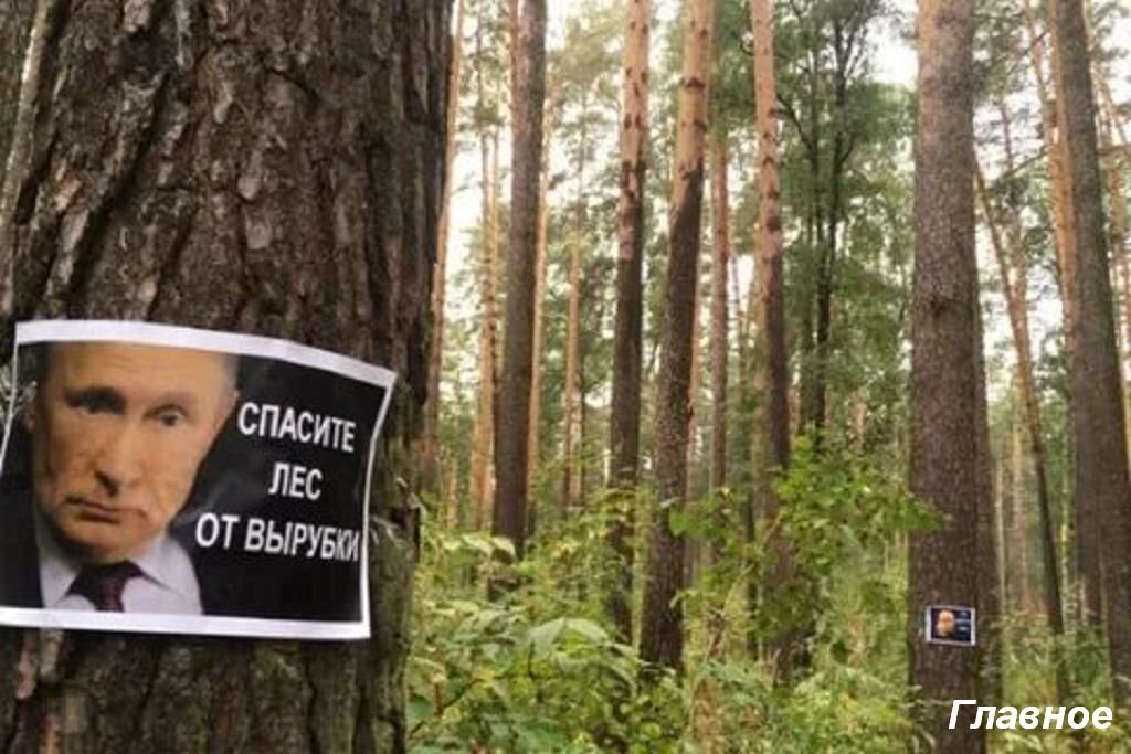 Фото из открытых источников