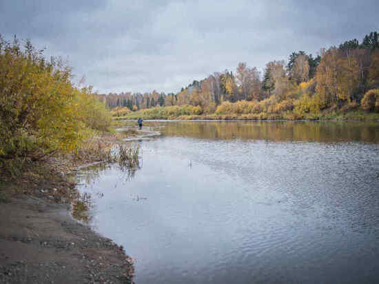     Фото: Дениса Винокурова/Сиб.фм