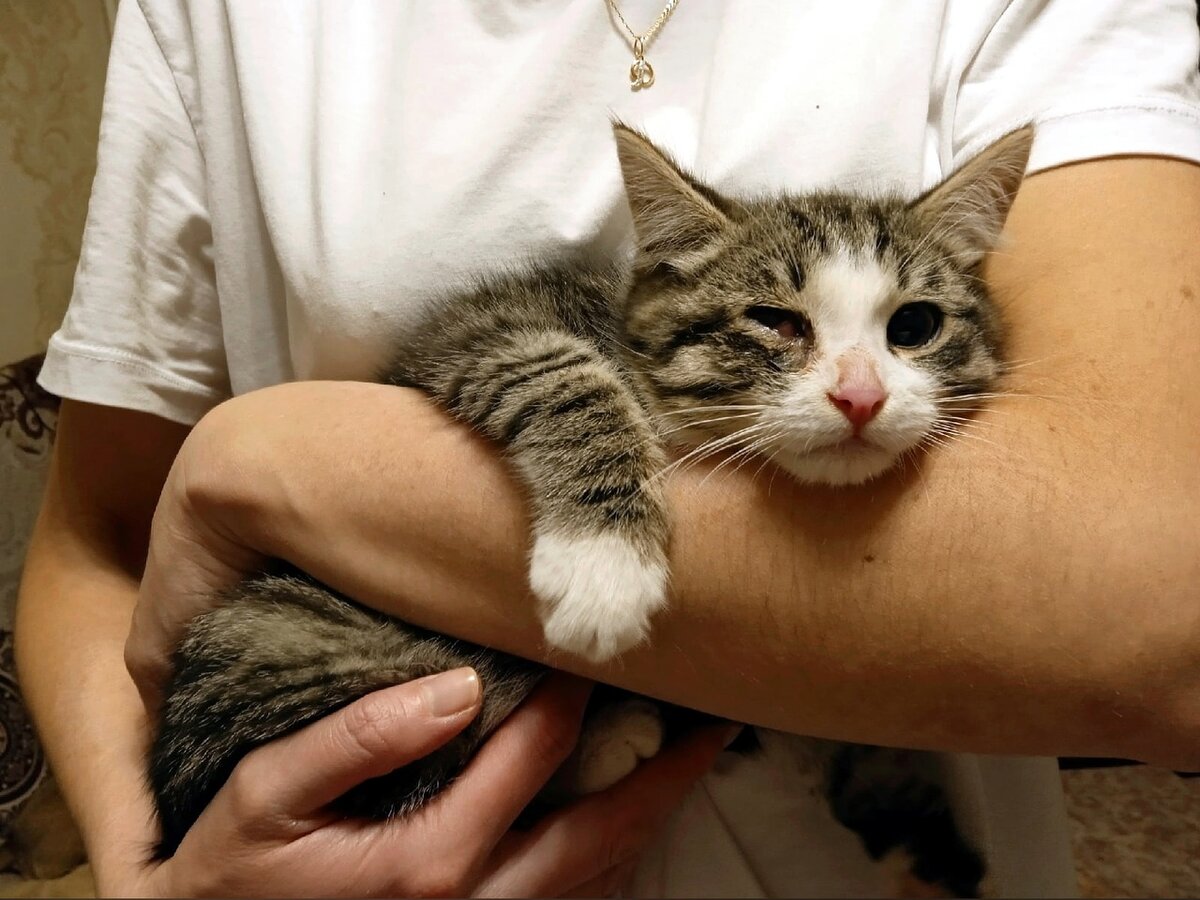 Как же он обрадовался, что оказался в тепле