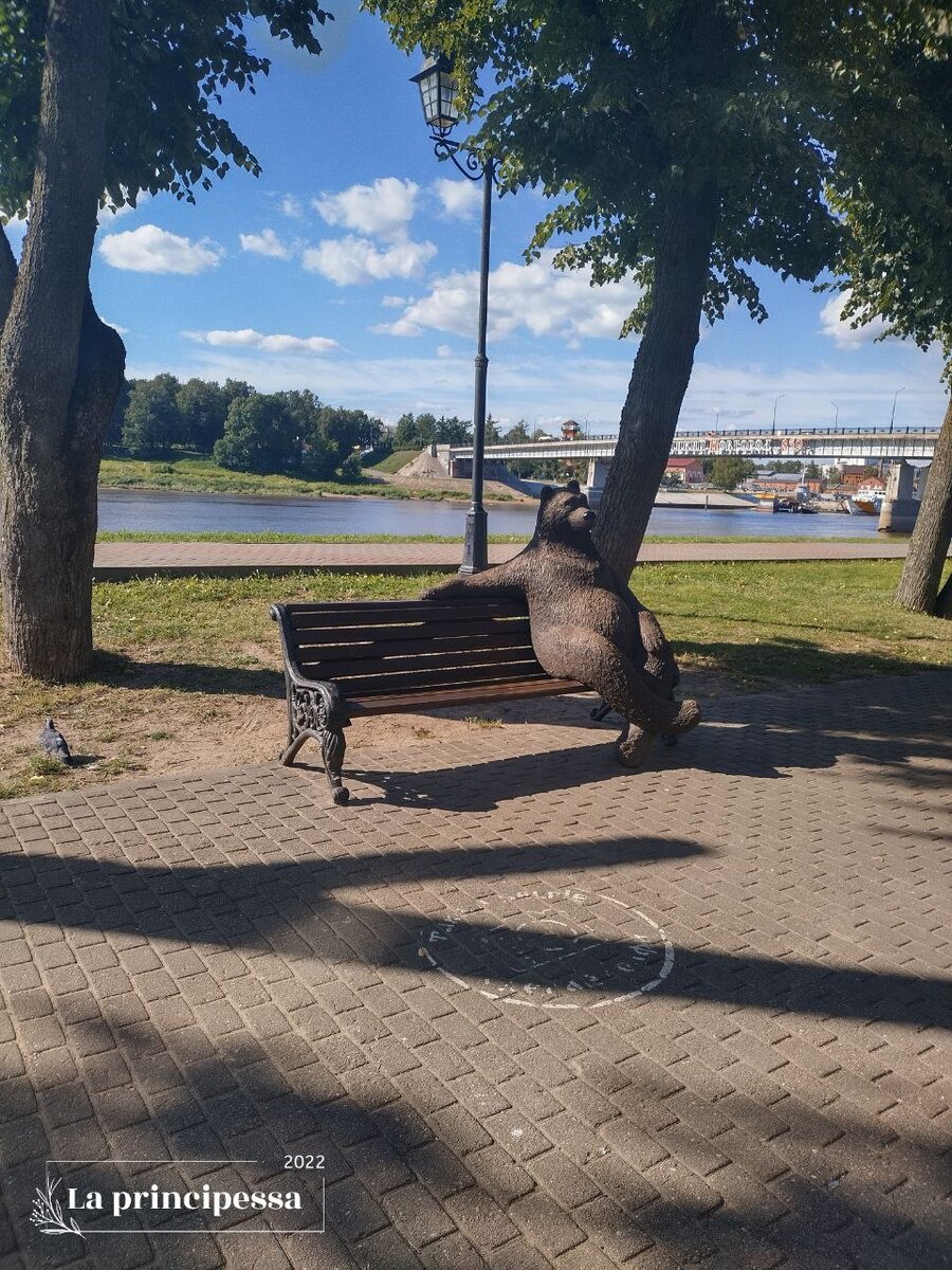 Фото автора. Полчаса я ждала чтобы сфотографировать этого медведя. Занят был!