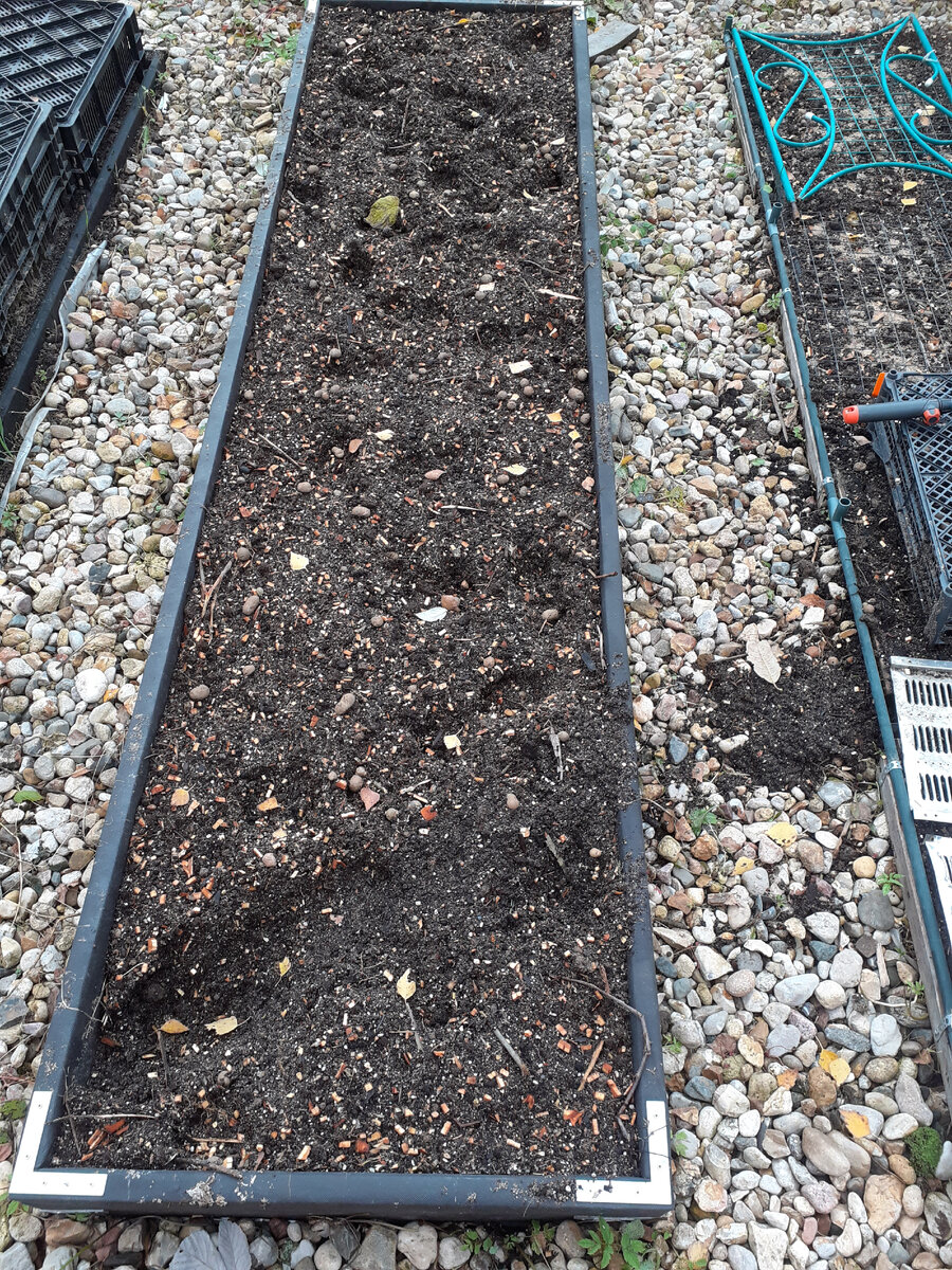 Грядки в моем огороде