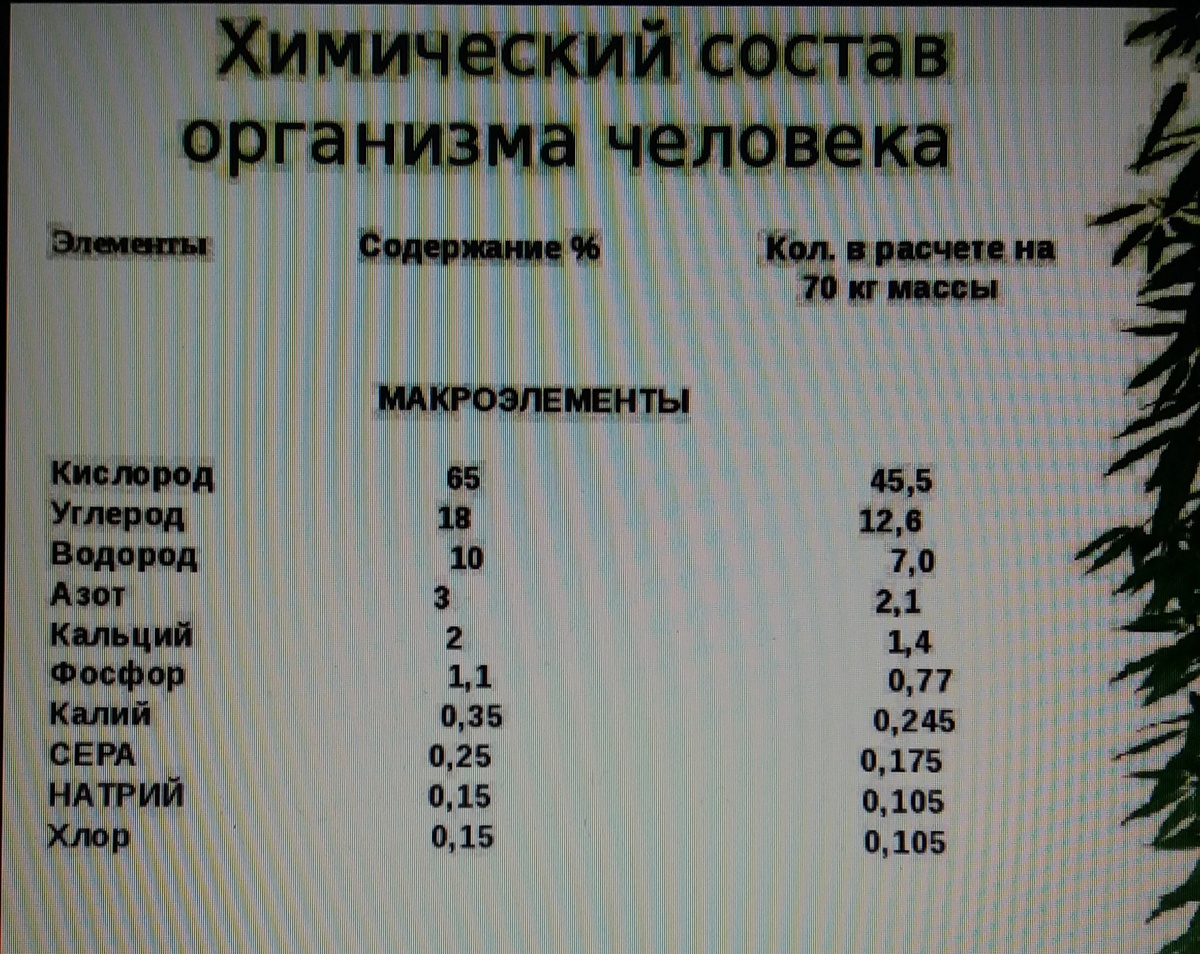 Вот теперь и подумаешь чем питаться , чтобы здоровым остаться. При употреблении пищи физических, умственных, эмоциональных и других нагрузках , реакции и взаимодействия микроэлементов в организме человека меняется постоянно, так что кулинарию для восполнения нормальной жизнедеятельности человека нужно восполнять постоянно.