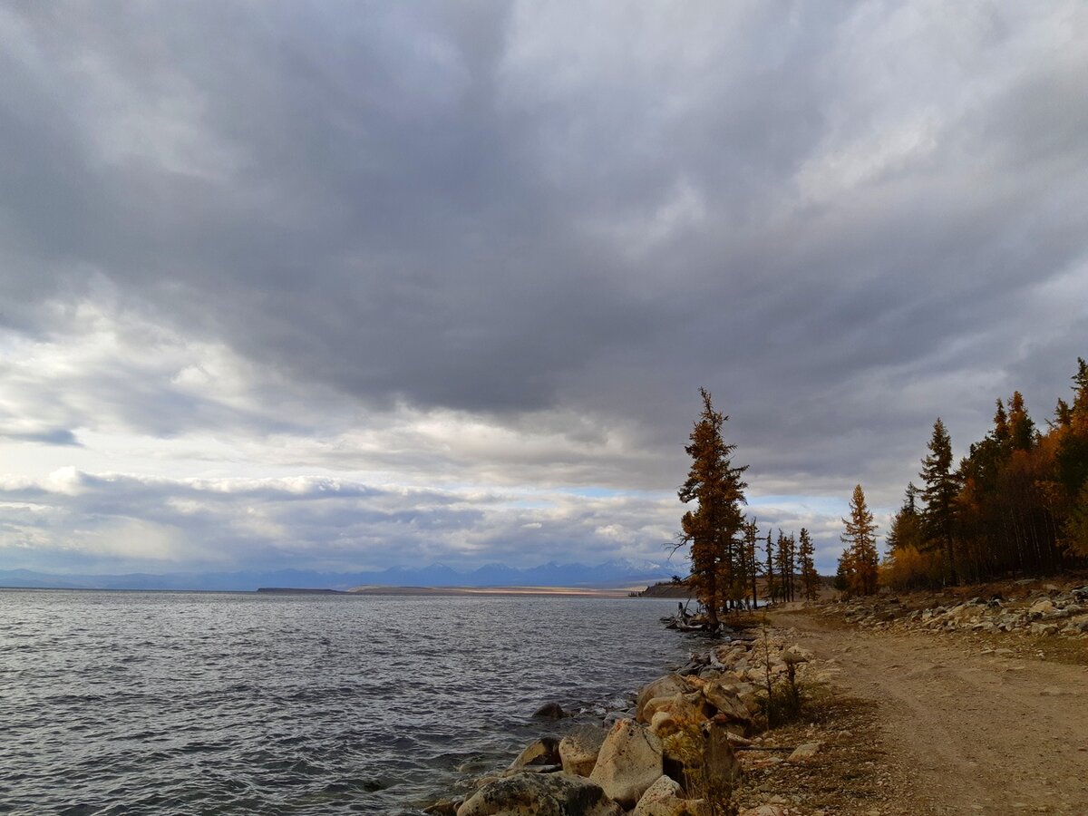 Яндекс картинки