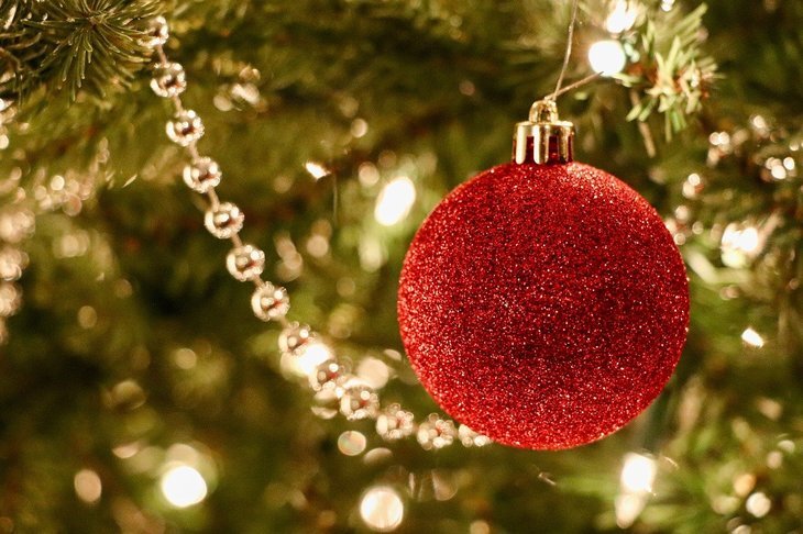    Новогодняя пихта: купить сказку для дома и живой антидепрессант