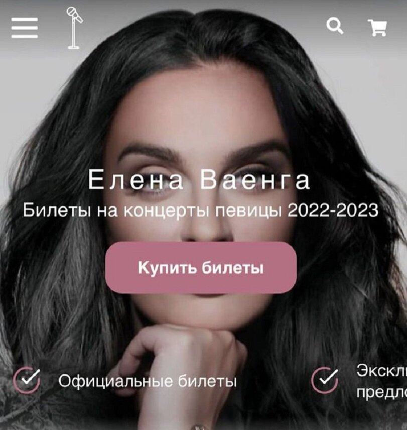    Елена показала скриншот сайта злоумышленников Соцсети Елены Ваенги