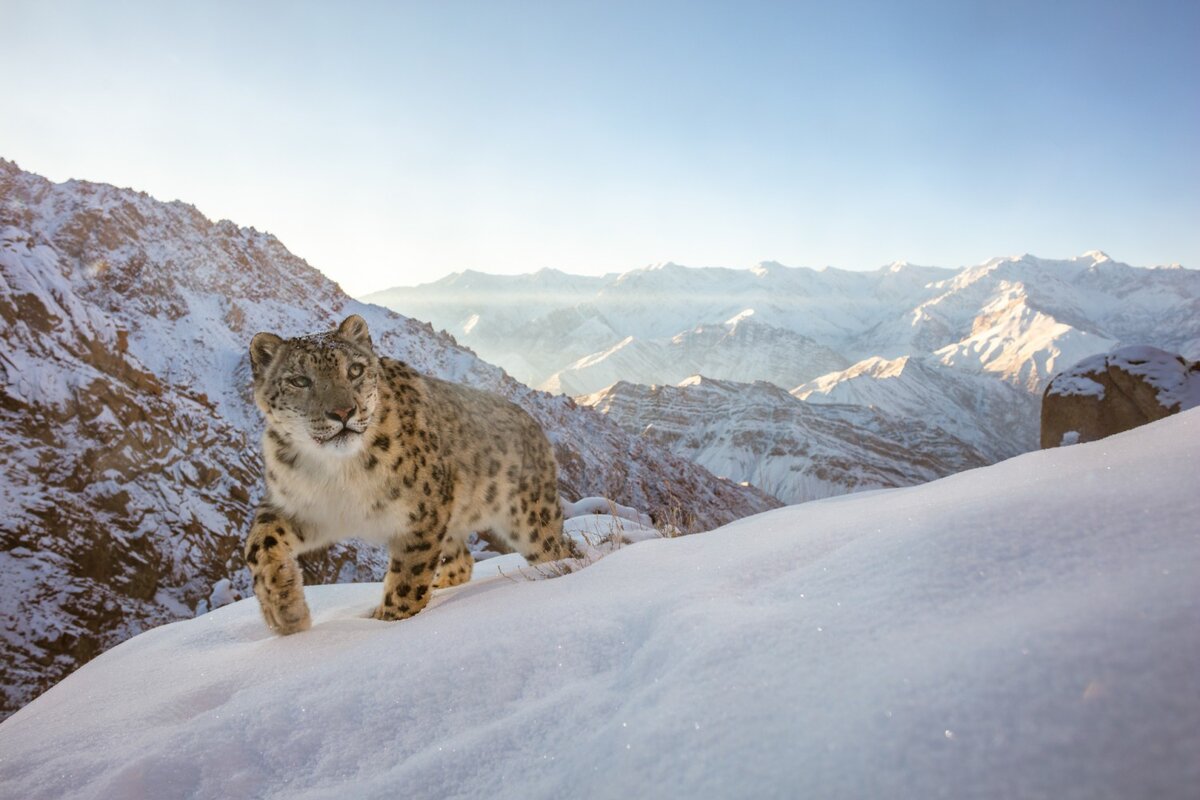    Sascha Fonseca, naturephotographeroftheyear.com