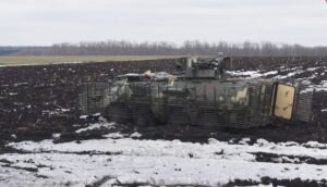    Фото: Rus.vesna.ru Наталья Анисеева