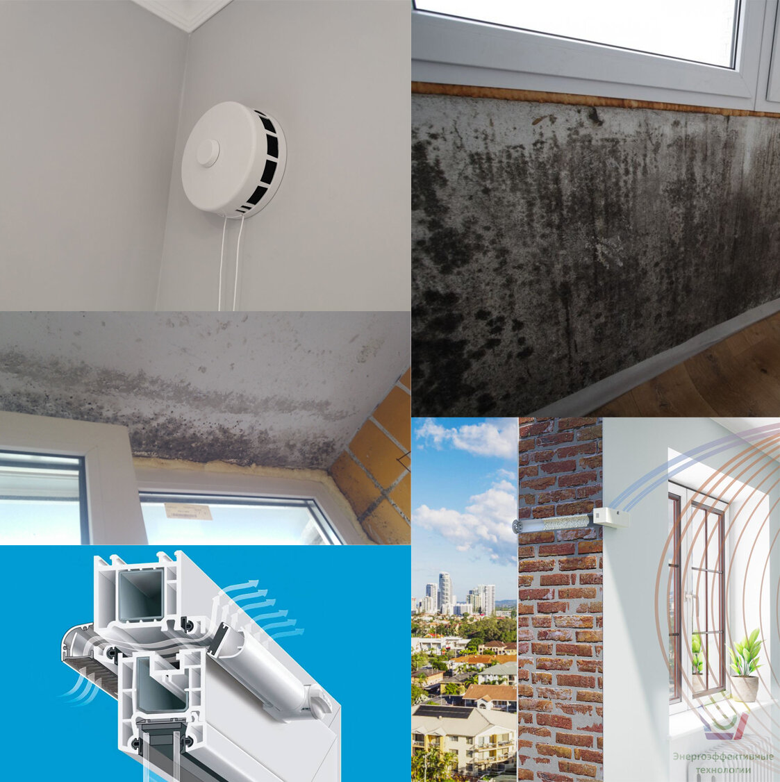 Коллаж создан на основе изображений из свободного доступа в сети Интернет