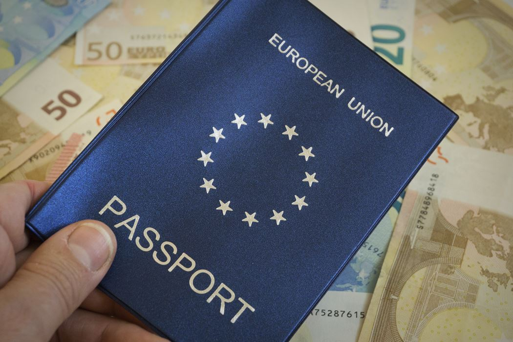 Получение гражданства ЕС: самые удобные варианты для россиян в 2022-2023  годах | Путешествия, туризм, наука | Дзен