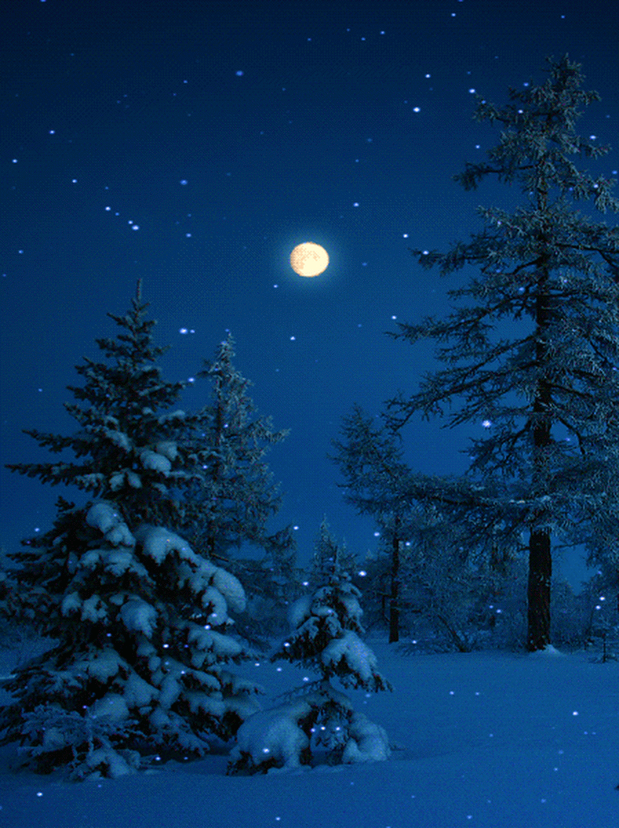 (гифка из интернета)