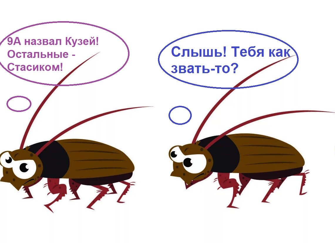 Именной таракан Кузя