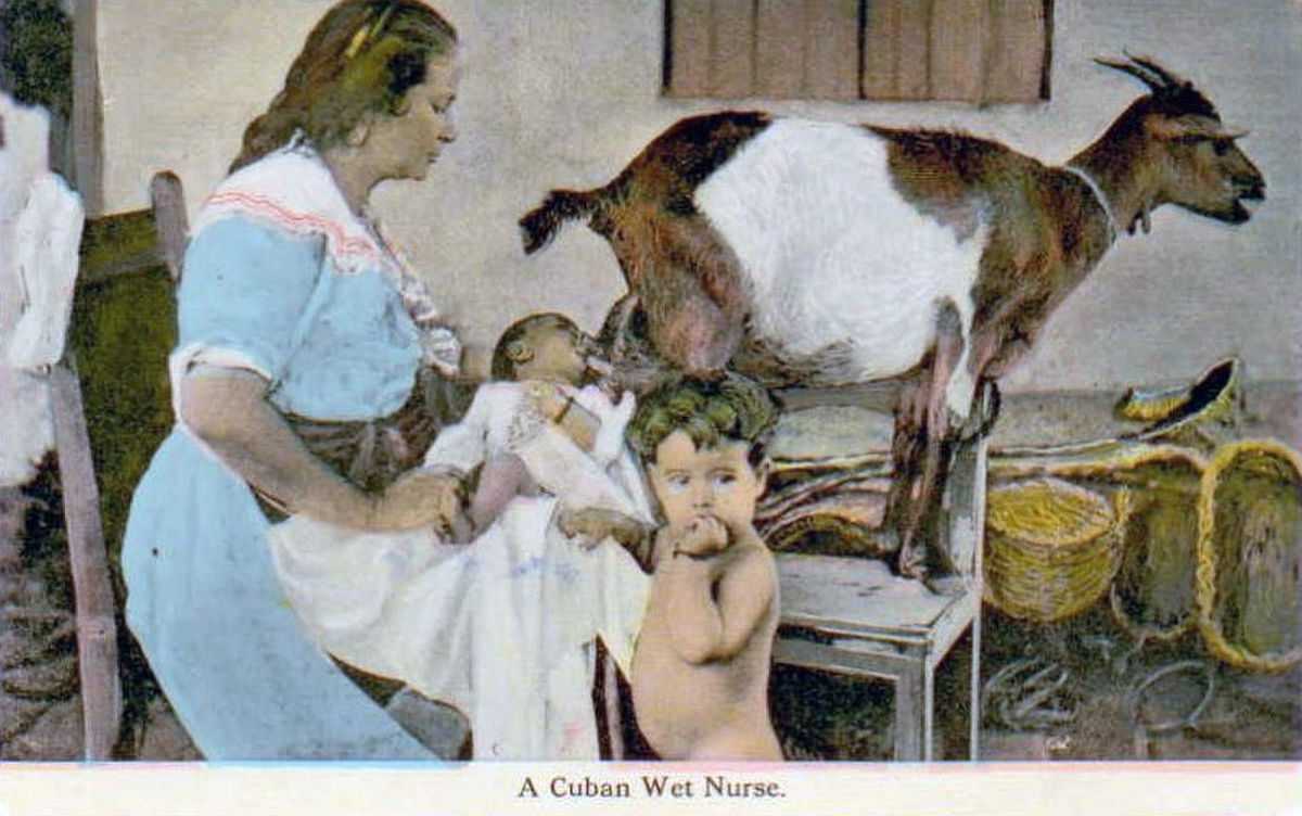 грудь с молоком для детей фото 57