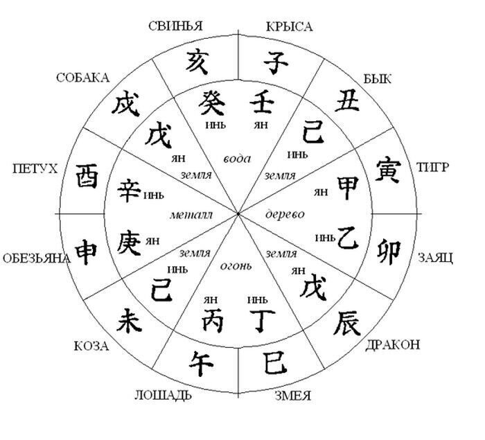Китайский календарь животных соответствие месяцам. Китайский календарь знаки зодиака. Символ восточного гороскопа.