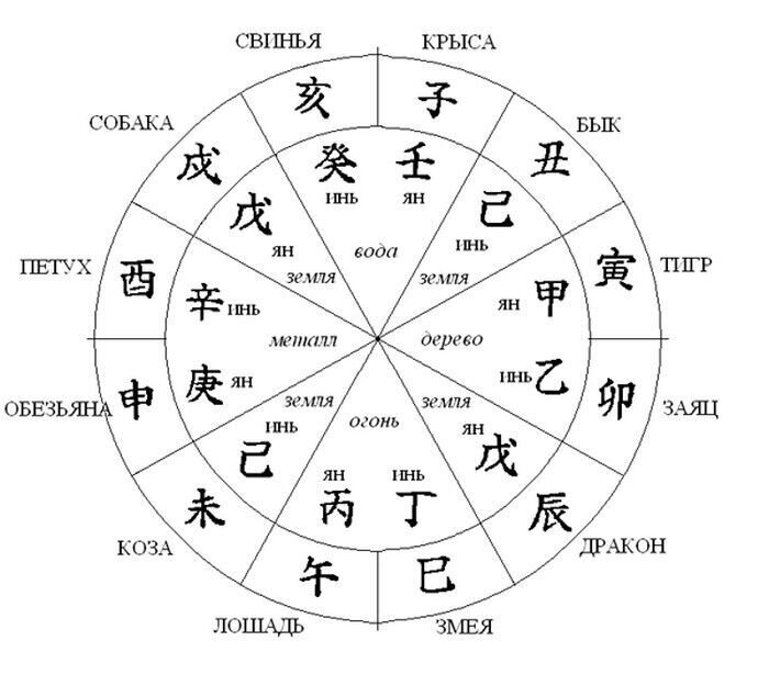 90 год какого. Китайский календарь животных соответствие месяцам. Знаки китайского календаря. Китайский календарь знаки зодиака.