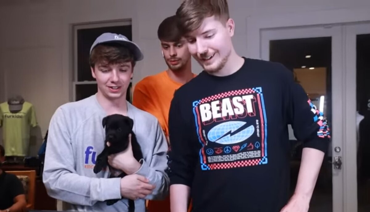  MR BEAST      LDPlayer