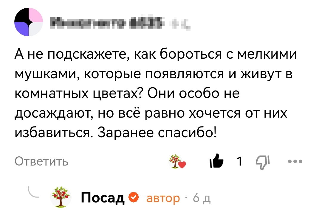 Это судьба! Недавно мне пришёл вопрос от подписчика о том, как избавиться от мошек в комнатных цветах. «Своих» мошек у нас не было давно. На вопрос я ответила.