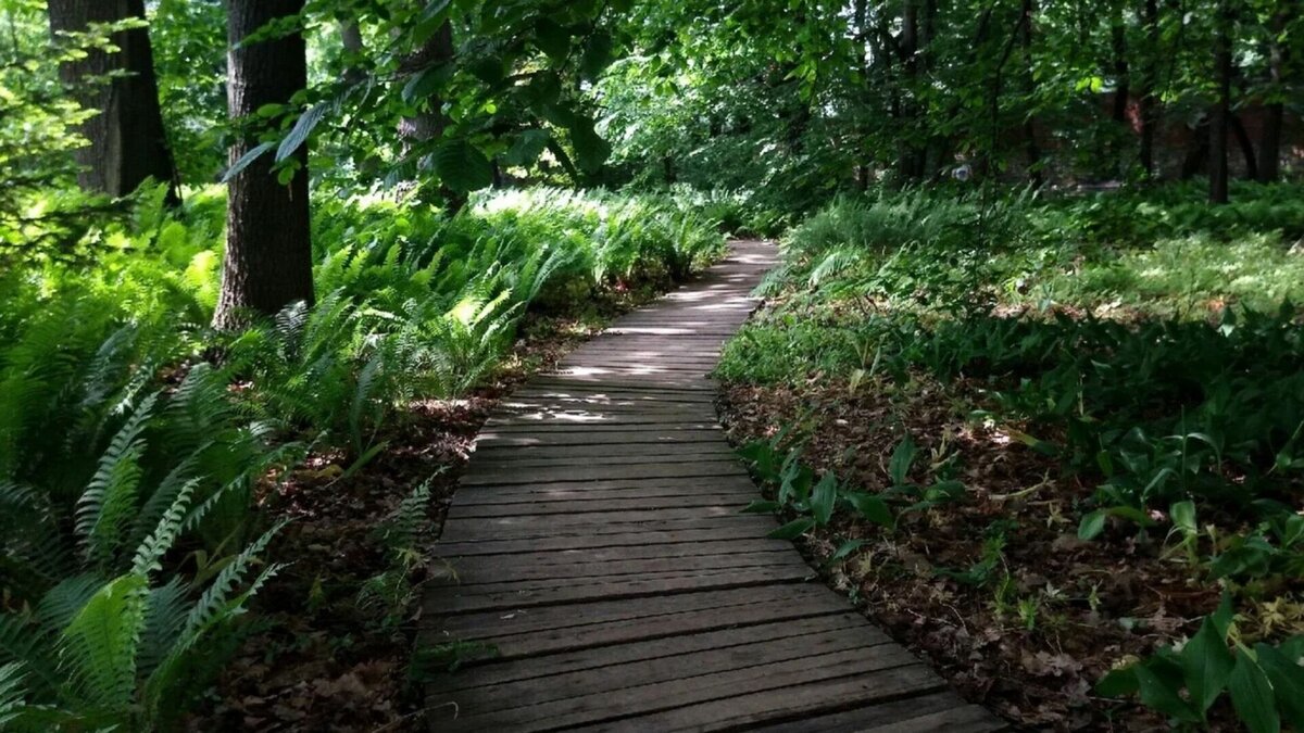     В 2023 году для Татарстана закупят 68 единиц техники и оборудования для предупреждения и тушения лесных пожаров. Такую информацию сообщили в пресс-службе министерства лесного хозяйства республики.