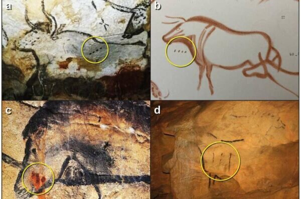    Фото: Сambridge Archaeological Journal