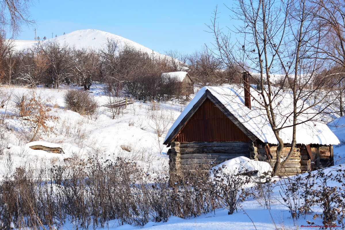 Фото автора