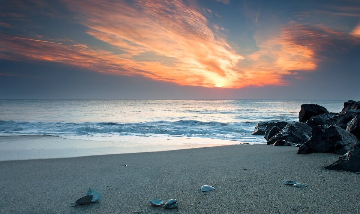 Из открытых источников.