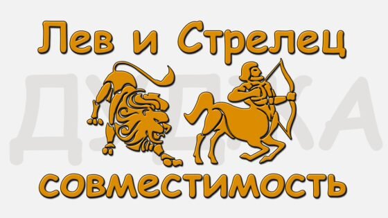 Лошадь и стрелец совместимость. Лев и стрелец. лев и стрелец совместимость. мужчина лев и женщина стрелец. лев и стрелец совместимы.