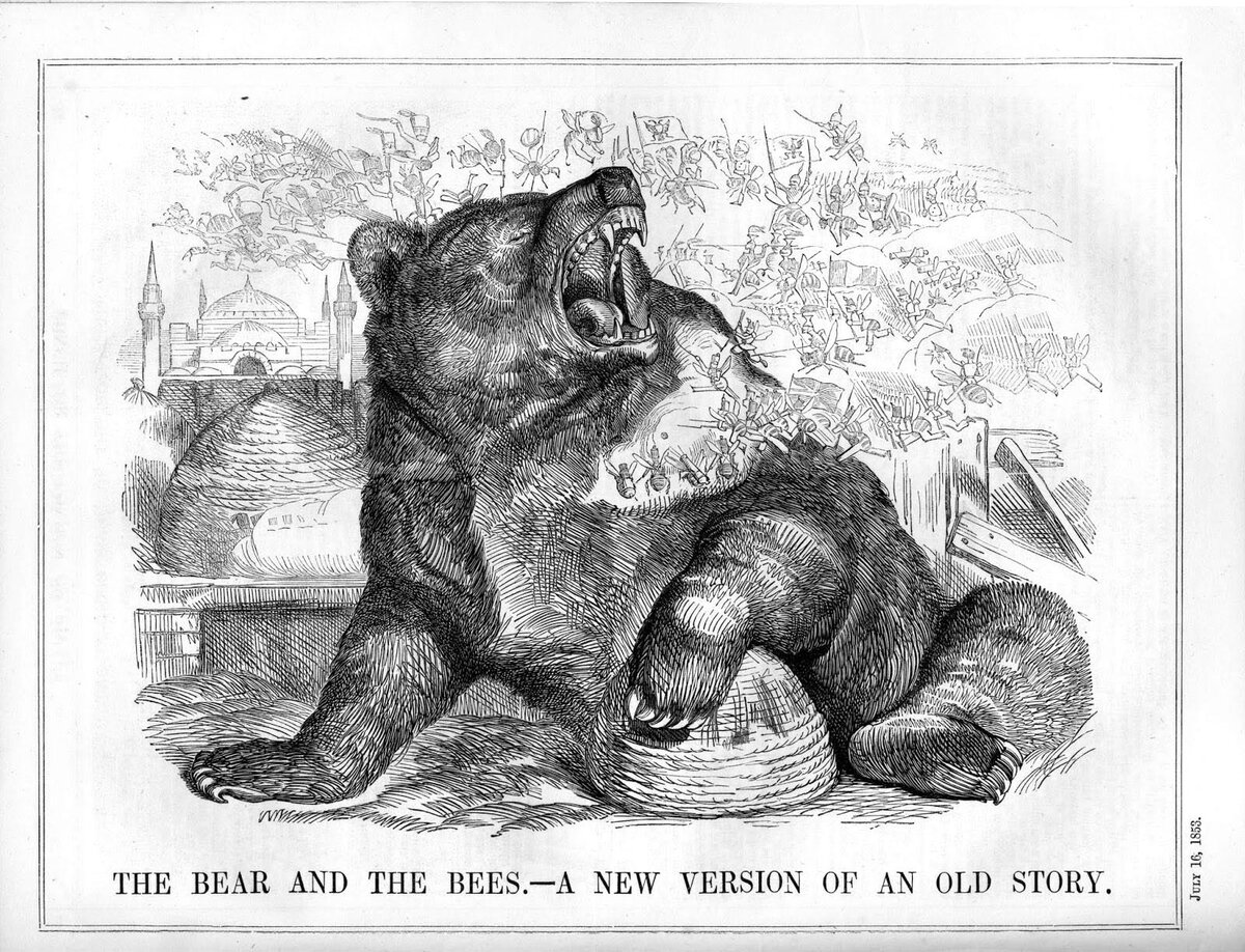 Медведь гравюра