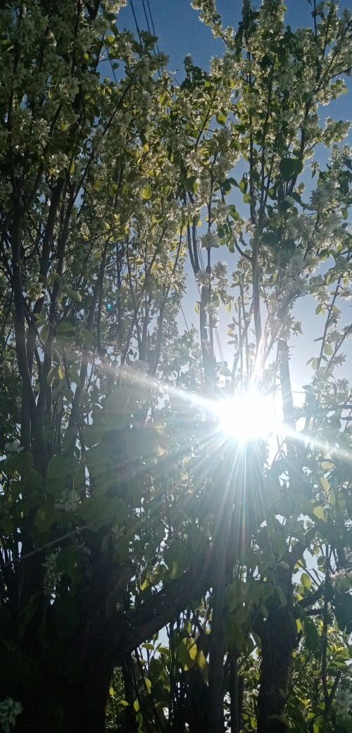 Фото из личного архива